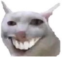 teef