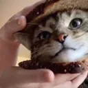 candwich