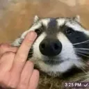 dondafucku dondafucku