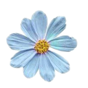 a_blue_daisy Discord emoji