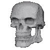 Skulltroll Skulltroll
