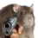 RatGUN