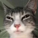 emoji_15 emoji_15