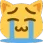 happy_cry_cat Discord Emoji