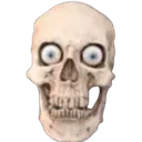 reallifeskull