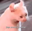 Screm Screm