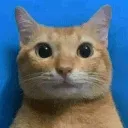 SCmyreactiontothatinformation SCmyreactiontothatinformation