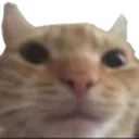 RainyBestMod