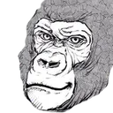 smugmonkey smugmonkey