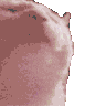 emoji_62