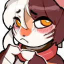quinn_pleading