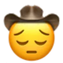 cowboy1 cowboy1