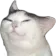 Hmm Cat Discord Emoji