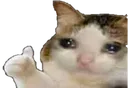 Cat Thumbs Up cat_thumbs_up Discord Emoji