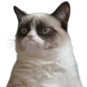 CIgrumpy CIgrumpy