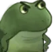 frogeexcuseyou