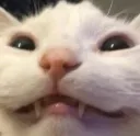 hehhehheh