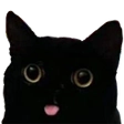 cat Discord emoji