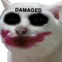 Clown Cat clowncat Discord Emoji