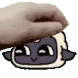 petLamb