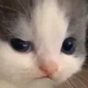 hehesus Discord Emoji