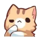 kittythinking