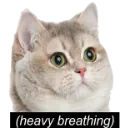 HeavyBreathing