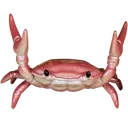 Crab_FFA