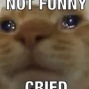 Notfunnycried notfunnycried Discord Emoji