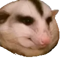SmugPosso_FFA SmugPosso_FFA