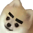 dogeyebrows_FFA Discord Emoji