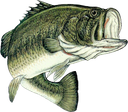 RP_Bassfish Discord emoji