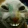 xdd