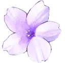 :7_flower: 7_flower