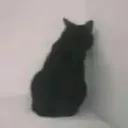 sad_corner Discord Emoji