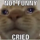 NOTFUNNI_ICRIED