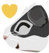 MaximusJonesLove