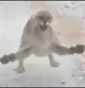LOLW