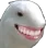 Teeth