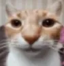 MeineEhrlicheReaktion