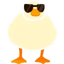 coolduck