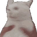 2182shakethecat