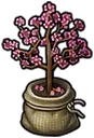 SakuraTree