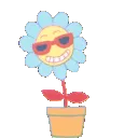 EDFlower
