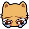 kittycry kittycry
