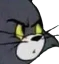 annoyedtom