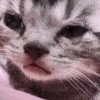 cryingkittenmin Discord Emoji
