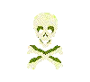 Skull13