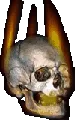 Skull40