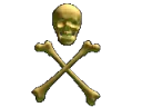 Skull240
